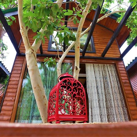 Koala Bungalows Olympos Exterior photo